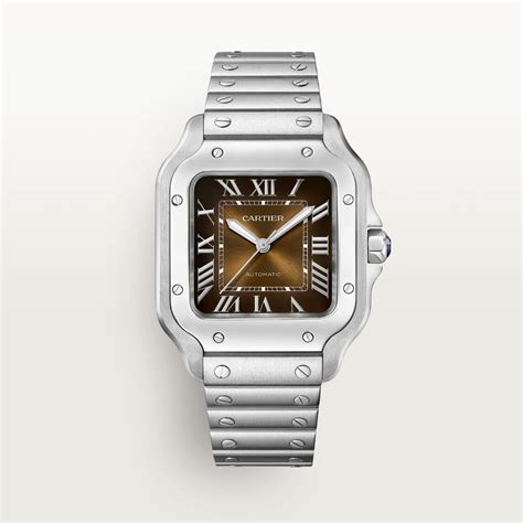 cartier wssa0064|cartier wssa0018 price.